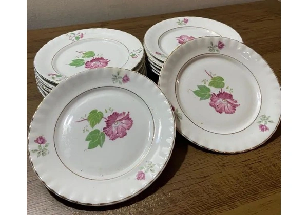 Jogo de porcelana Schmidt - Rio do testo (12 peças)
