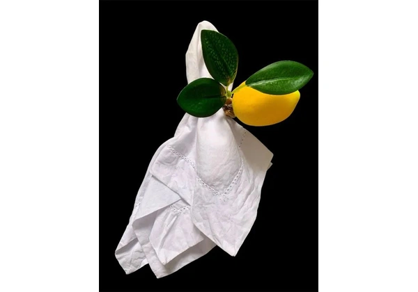 Porta guardanapo limão siciliano - novo - kit com 8