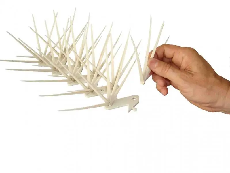 Repelente para Pombo