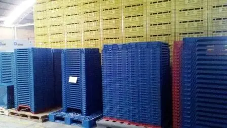 GRADES PLÁSTICAS TIPO CESTO DE PÃO DE FORMA R$ 25, 00 ATACADO CIF SUL / SUDESTE IND