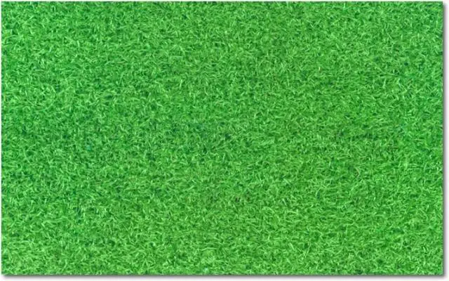 Grama verde e brilhante, adubo com hormônio natural