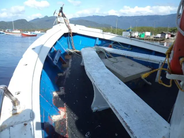 Aluguel de barcos, lancha, pesca, mar, rio, saidas de Bertioga