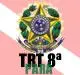 Apostila TRT PARÁ Tribunal Regional do Trabalho da 8ª Região