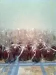 Maçã do Amor, Trufas, Frutas no Espeto
