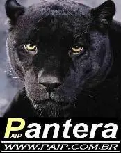 Detetive Particular RJ - PAIP