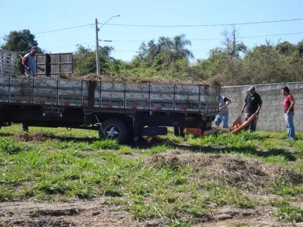 LIMPEZA, CONSERVAÇÃO E ROÇAGEM DE ÁREAS VERDES