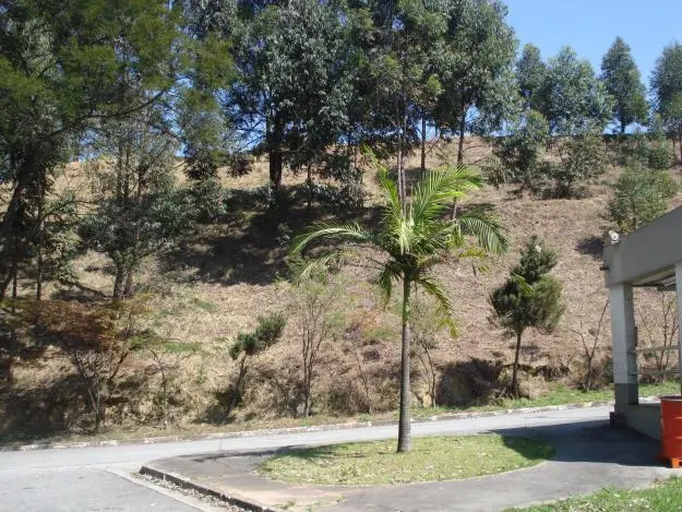 LIMPEZA, CONSERVAÇÃO E ROÇAGEM DE ÁREAS VERDES