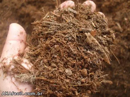 DISTRIBUIDORA DE TERRA PRETA ADUBADA, ESTERCO BOVINO, ESTERCO DE COGUMELO E HÚMUS DE MINHOCA