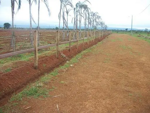 Madeiras para Cercas de Chácaras, Haras e Fazendas