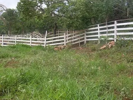Madeiras para Cercas de Chácaras, Haras e Fazendas