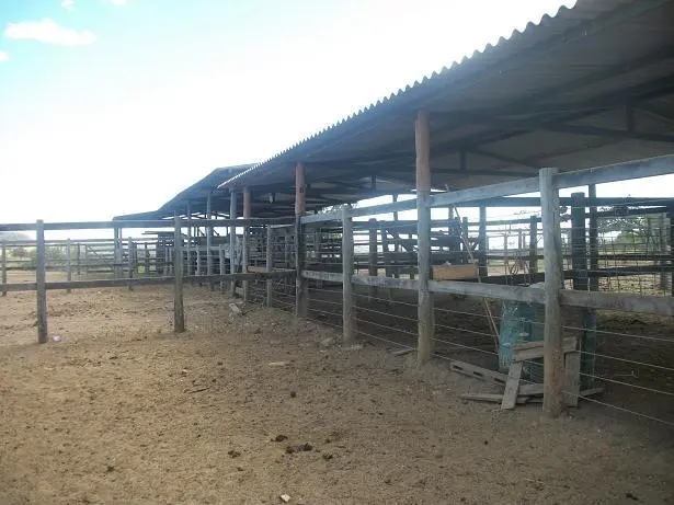 Curral, Piquetes, Baias, Redondel, Haras e Pista para Cavalos