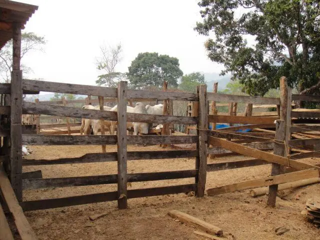 Curral, Piquetes, Baias, Redondel, Haras e Pista para Cavalos