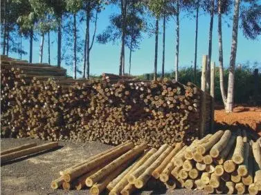 Eucalipto Tratado em Autoclave, Mourão, Estacas e Roliços