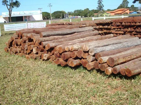 Esticador, Aroeira Importada, Esteios, Mourão, Palanques, Vigas