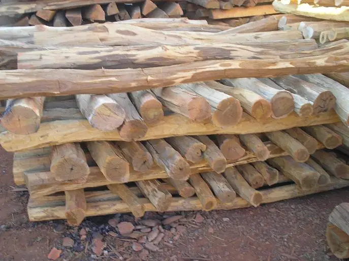 Roliçinhos, Aroeira Importada, Ipê, Sucupira, Roxinho