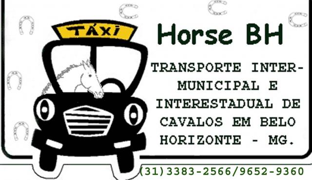 TÁXI HORSE BH - TRANSPORTE INTERMUNICIPAL E INTERESTADUAL DE CAVALOS EM BELO HORIZONTE - MG