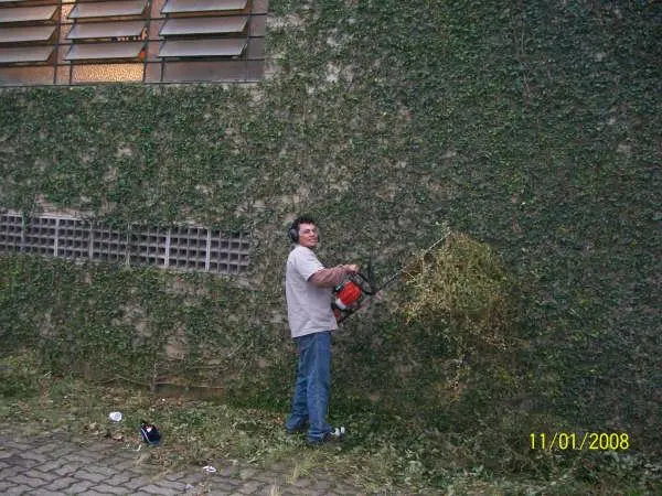 JARDINAGEM E PAISAGISMO