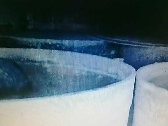 DEDETIZAÇÃO E LIMPEZA DE CAIXA DÁGUA EM GUARULHOS