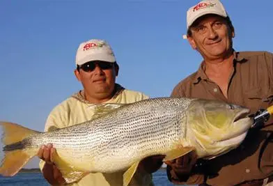 Pesca Esportiva